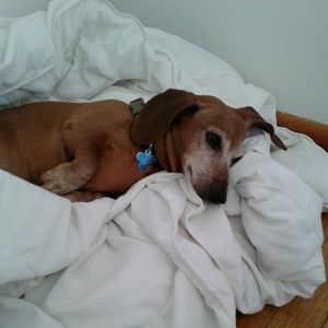 Meet your Posher, Patricia